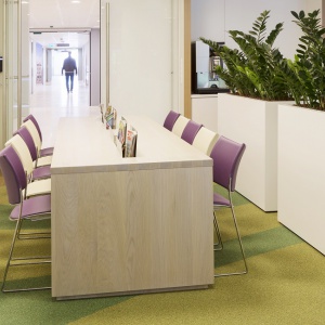 CURVY REF HOSPITAL GOUDA NL 2