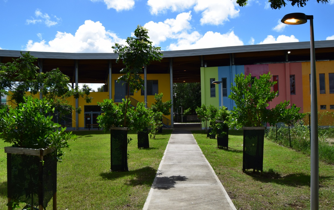 6b. CENTRE CULTUREL E. ALBON.JPG
